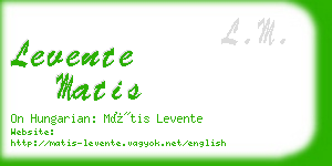 levente matis business card